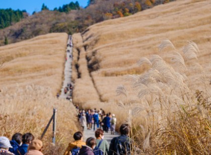 人気の勤務地【箱根仙石原】です。箱根湯本の寮よりバス通勤になります。寮はきれいな個室寮でWi-Fi完備
