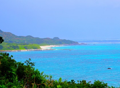 サンゴに包まれた南の島で働こう!ダイビング好き必見!調理師のお仕事!
