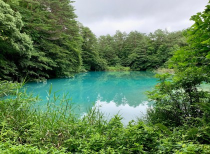 裏磐梯レイクリゾートでレストランホールのお仕事!時給1,450円♪Wi-Fi完備の個室寮