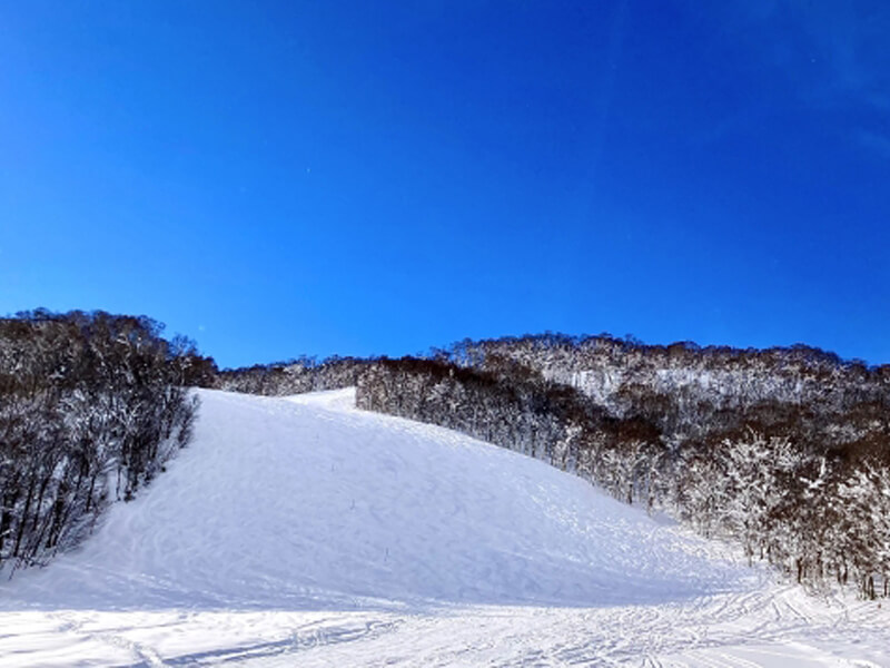 北海道を代表する冬のリゾート地で働こう！リフトシーズンパス無料進呈！