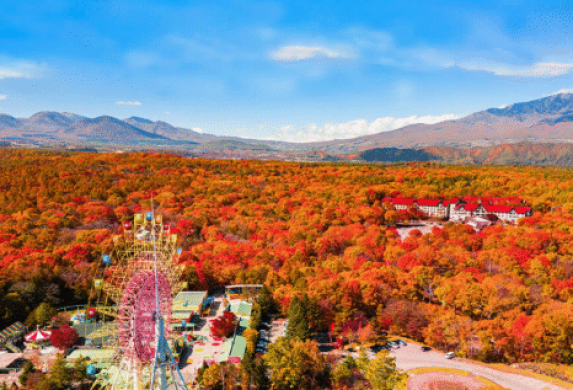 7月中旬~8月末または11月下旬までの募集!北軽井沢のホテルで洗い場スタッフ/未経験者歓迎/風呂・トイレ・Wi-Fi付きの個室寮/1日2食無料